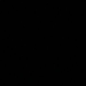 Meet your Posher, Hector